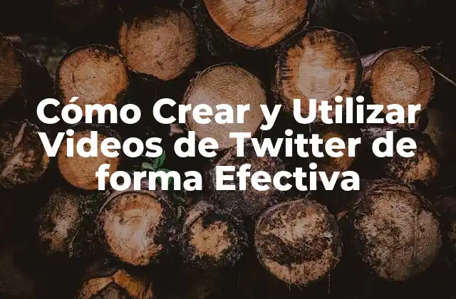 Cómo Crear y Utilizar Videos de Twitter de Forma Efectiva
