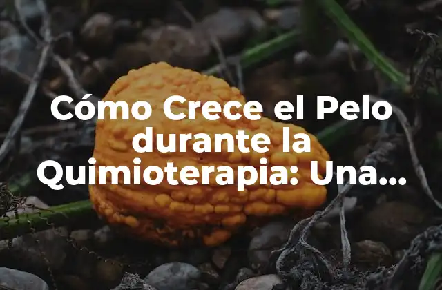 Cómo Crece el Pelo durante la Quimioterapia: una Guía Completa