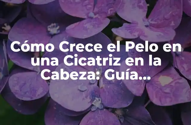 Cómo Crece el Pelo en una Cicatriz en la Cabeza: Guía Completas 2 ¿Por qué el Pelo no Crece en las Cicatrices de la Cabeza?