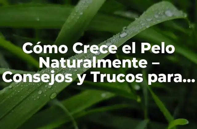 Cómo Crece el Pelo Naturalmente – Consejos y Trucos para un Crecimiento Saludable