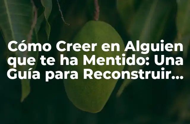 Cómo Creer en Alguien que Te Ha Mentido: una Guía para Reconstruir la Confianza
