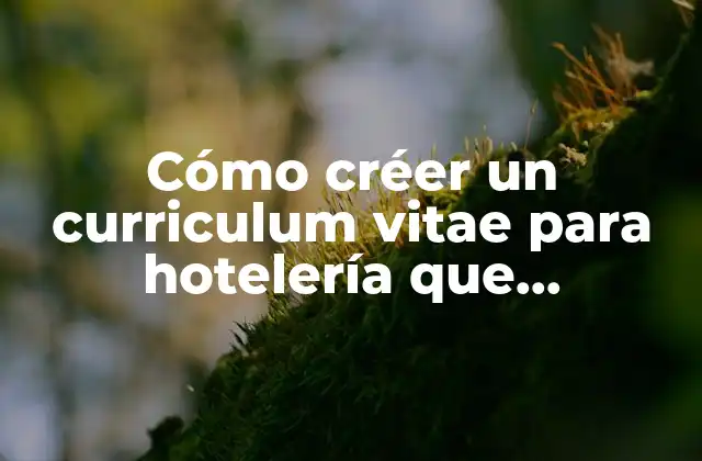 Cómo Créer un Curriculum Vitae para Hotelería que Impresione