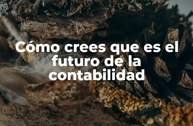 Cómo Crees que es el Futuro de la Contabilidad