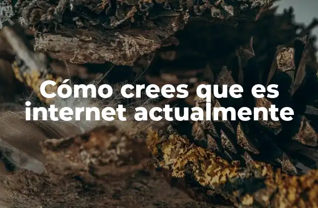Cómo Crees que es Internet Actualmente 2 El internet de hoy: una red global sin fronteras