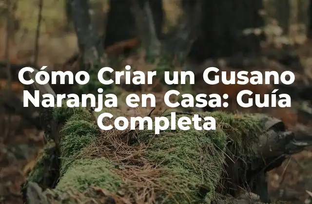 Cómo Criar un Gusano Naranja en Casa: Guía Completa
