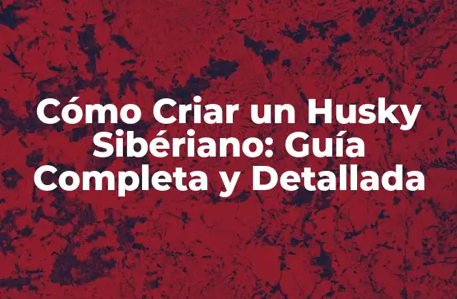 Cómo Criar un Husky Sibériano: Guía Completa y Detallada