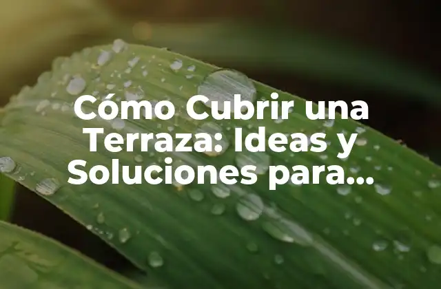 Cómo Cubrir una Terraza: Ideas y Soluciones para Proteger y Decorar Tu Espacio Al Aire Libre