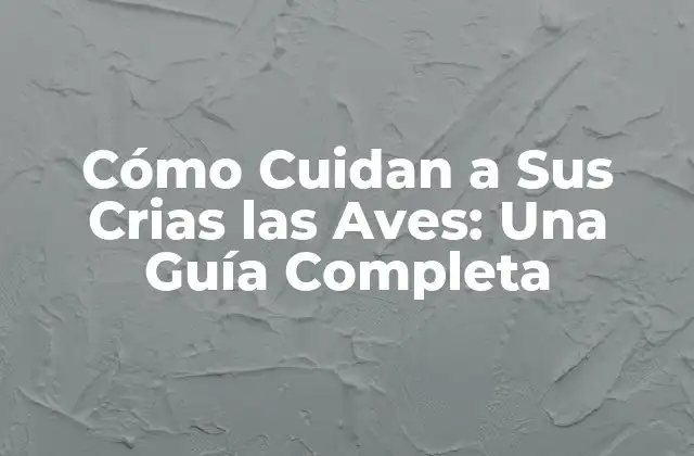 Cómo Cuidan a Sus Crias las Aves: una Guía Completa