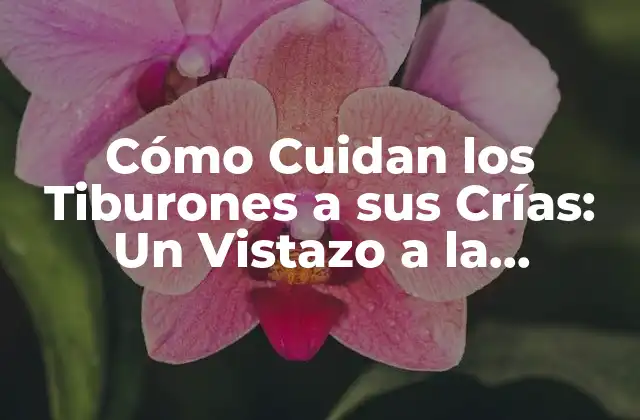 Cómo Cuidan los Tiburones a Sus Crías: un Vistazo a la Paternidad de los Reptiles Marinos