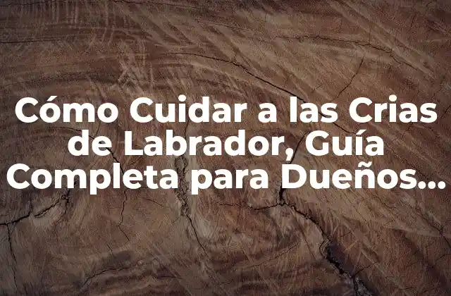 El Primer Mes de Vida de las Crias de Labrador