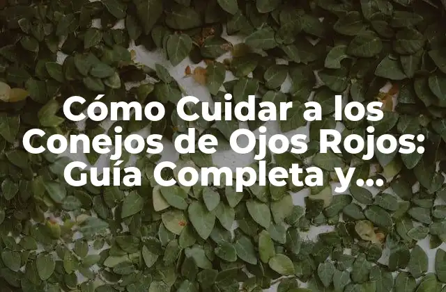 Características Físicas de los Conejos de Ojos Rojos