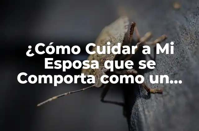 ¿cómo Cuidar a Mi Esposa que Se Comporta como un Perrito?