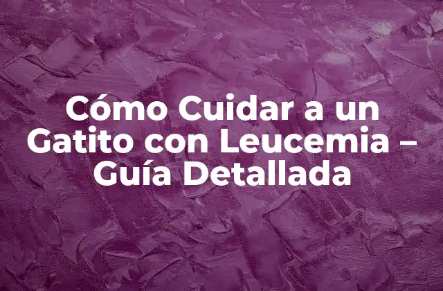 Cómo Cuidar a un Gatito con Leucemia – Guía Detallada
