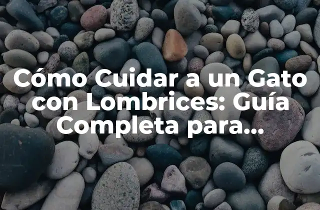 Cómo Cuidar a un Gato con Lombrices: Guía Completa para Propietarios de Mascotas