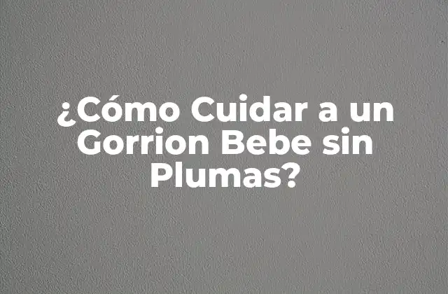 ¿cómo Cuidar a un Gorrion Bebe sin Plumas? 2 Alimentación del Gorrion Bebe sin Plumas
