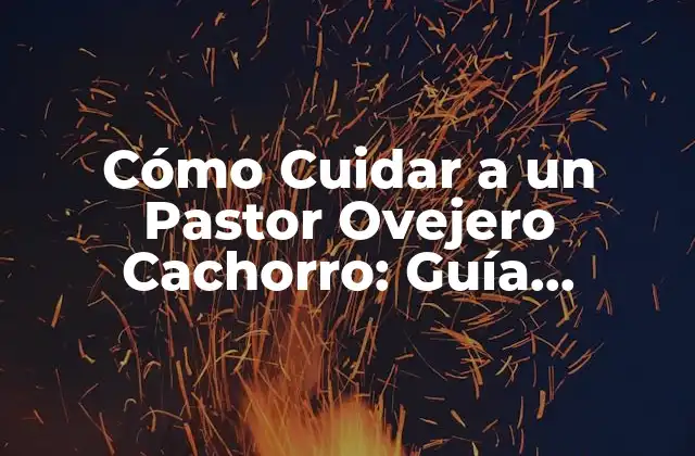 Cómo Cuidar a un Pastor Ovejero Cachorro: Guía Completa