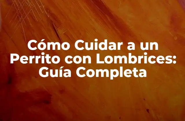 Cómo Cuidar a un Perrito con Lombrices: Guía Completa