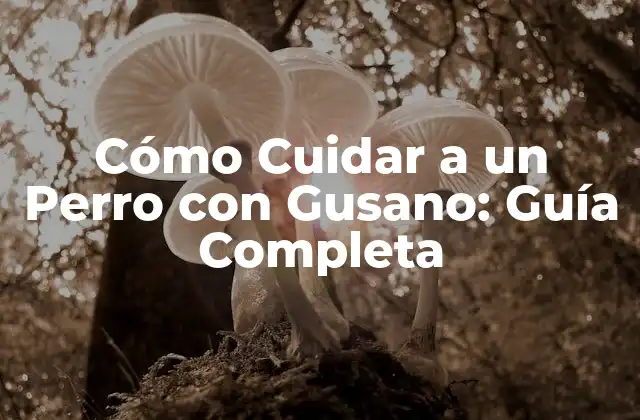 Cómo Cuidar a un Perro con Gusano: Guía Completa