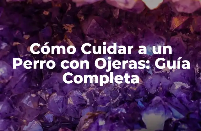 Cómo Cuidar a un Perro con Ojeras: Guía Completa