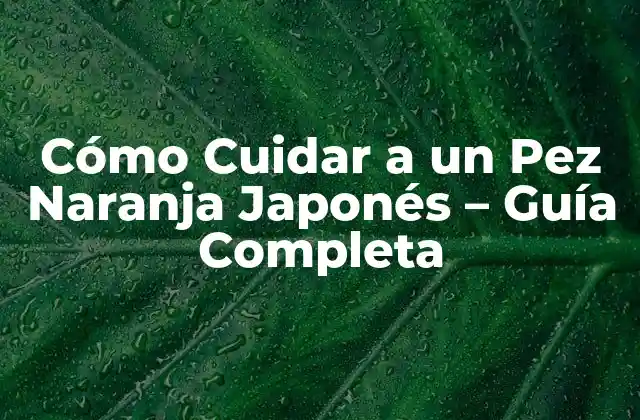 Orígenes y Características del Pez Naranja Japonés