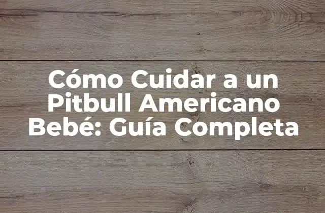 Cómo Cuidar a un Pitbull Americano Bebé: Guía Completa
