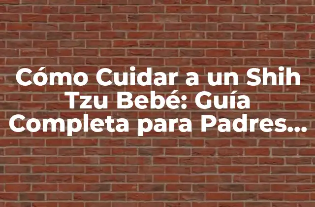 Cómo Cuidar a un Shih Tzu Bebé: Guía Completa para Padres Primerizos 2 Características del Shih Tzu Bebé