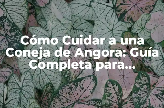 Cómo Cuidar a una Coneja de Angora: Guía Completa para Propietarios de Mascotas