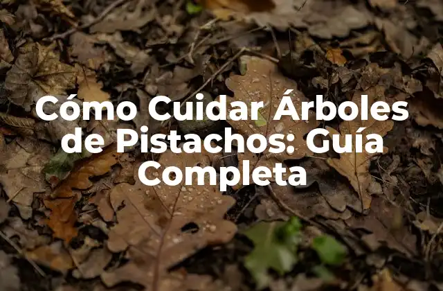 Cómo Cuidar Árboles de Pistachos: Guía Completa
