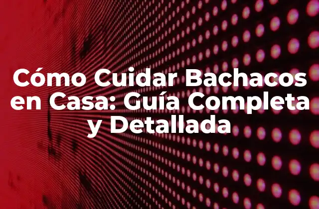 Cómo Cuidar Bachacos en Casa: Guía Completa y Detallada