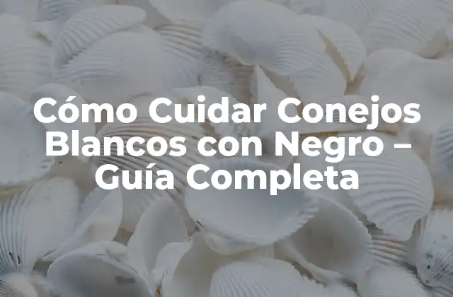 Cómo Cuidar Conejos Blancos con Negro – Guía Completa