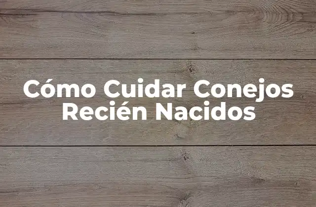 Cómo Cuidar Conejos Recién Nacidos