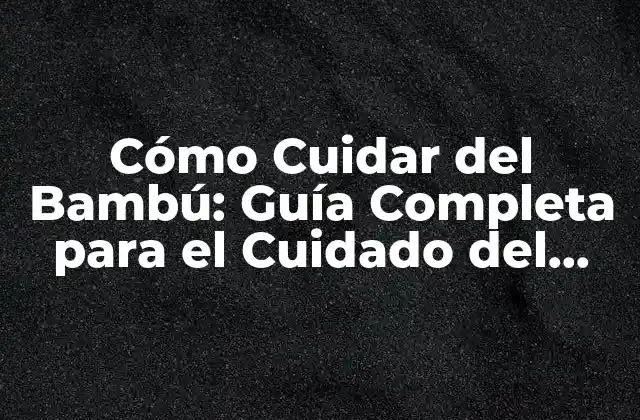 Preparación del Suelo para el Cuidado del Bambú