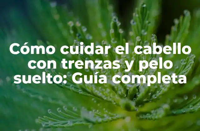 Cómo Cuidar el Cabello con Trenzas y Pelo Suelto: Guía Completa 2 Preparación del cabello para las trenzas y el pelo suelto