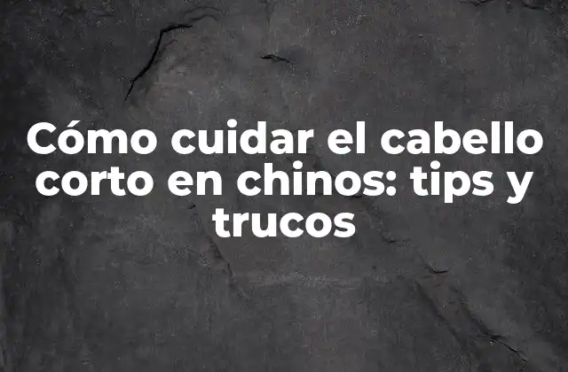 Cómo Cuidar el Cabello Corto en Chinos: Tips y Trucos