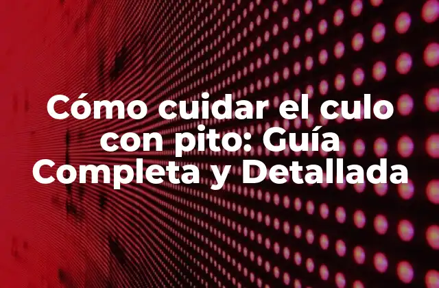 Cómo Cuidar el Culo con Pito: Guía Completa y Detallada