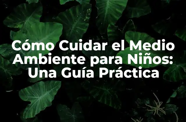 ¿Por qué es Importante Enseñar a los Niños a Cuidar el Medio Ambiente?