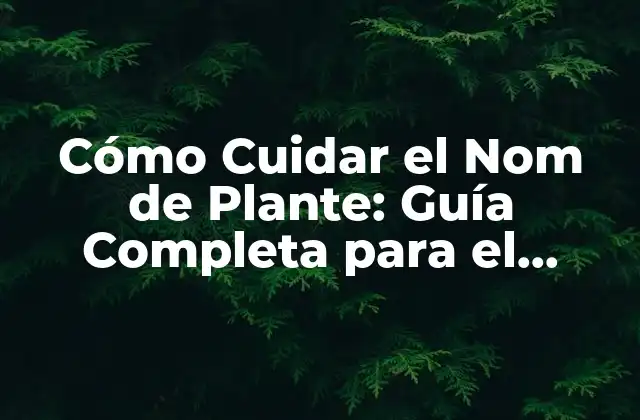 Cómo Cuidar el Nom de Plante: Guía Completa para el Crecimiento Saludable 2 ¿Qué es el Nom de Plante y Cómo Beneficia tu Salud?