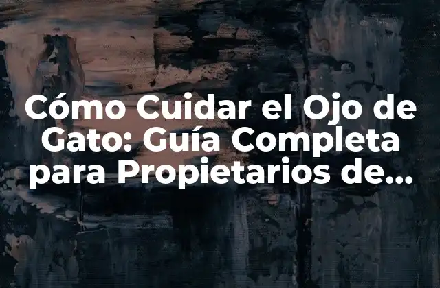 Cómo Cuidar el Ojo de Gato: Guía Completa para Propietarios de Gatos