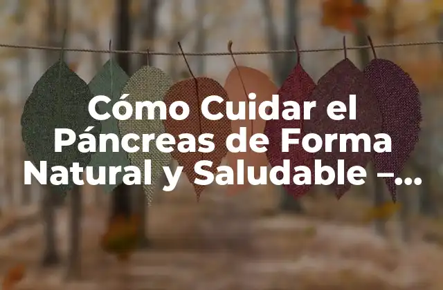 Cómo Cuidar el Páncreas de Forma Natural y Saludable – Guía Completa