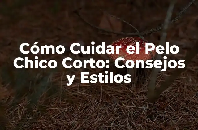 Ventajas de Tener el Pelo Chico Corto