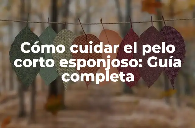 Cómo Cuidar el Pelo Corto Esponjoso: Guía Completa
