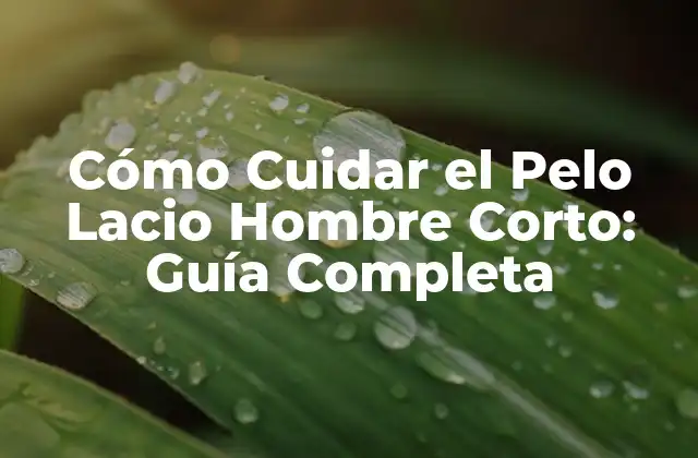 Cómo Cuidar el Pelo Lacio Hombre Corto: Guía Completa 2 Ventajas del Pelo Lacio Hombre Corto