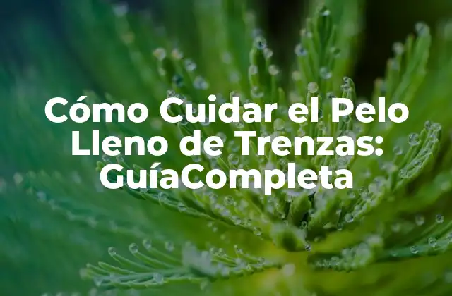 Cómo Cuidar el Pelo Lleno de Trenzas: Guíacompleta