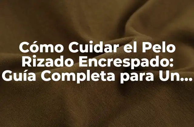 Cómo Cuidar el Pelo Rizado Encrespado: Guía Completa para un Pelo Saludable y Brillante 2 ¿Cuáles son los Desafíos del Cabello Rizado Encrespado?
