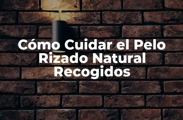 Cómo Cuidar el Pelo Rizado Natural Recogidos