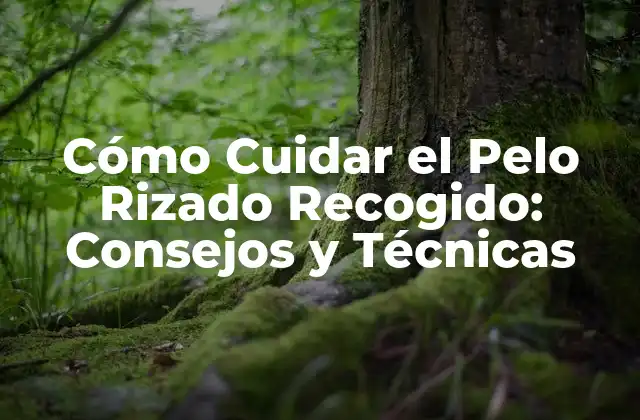 Cómo Cuidar el Pelo Rizado Recogido: Consejos y Técnicas 2 Producto Perfecto para el Pelo Rizado Recogido