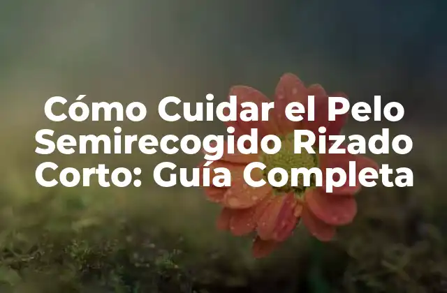 Cómo Cuidar el Pelo Semirecogido Rizado Corto: Guía Completa