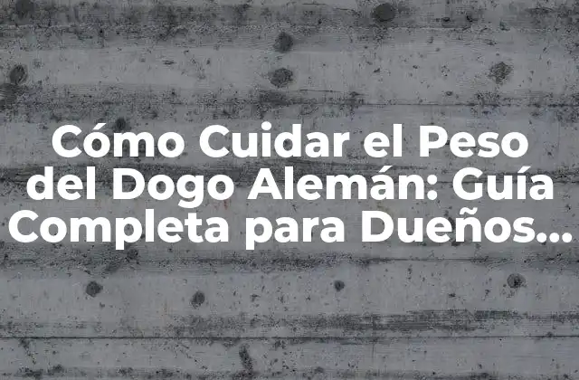 Cómo Cuidar el Peso Del Dogo Alemán: Guía Completa para Dueños de Perros