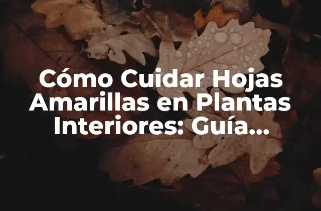 Cómo Cuidar Hojas Amarillas en Plantas Interiores: Guía Completa