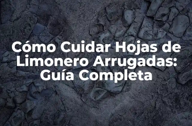 Cómo Cuidar Hojas de Limonero Arrugadas: Guía Completa 2 Causas Comunes de Hojas de Limonero Arrugadas